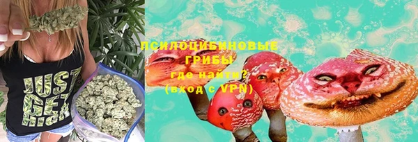 стаф Абаза